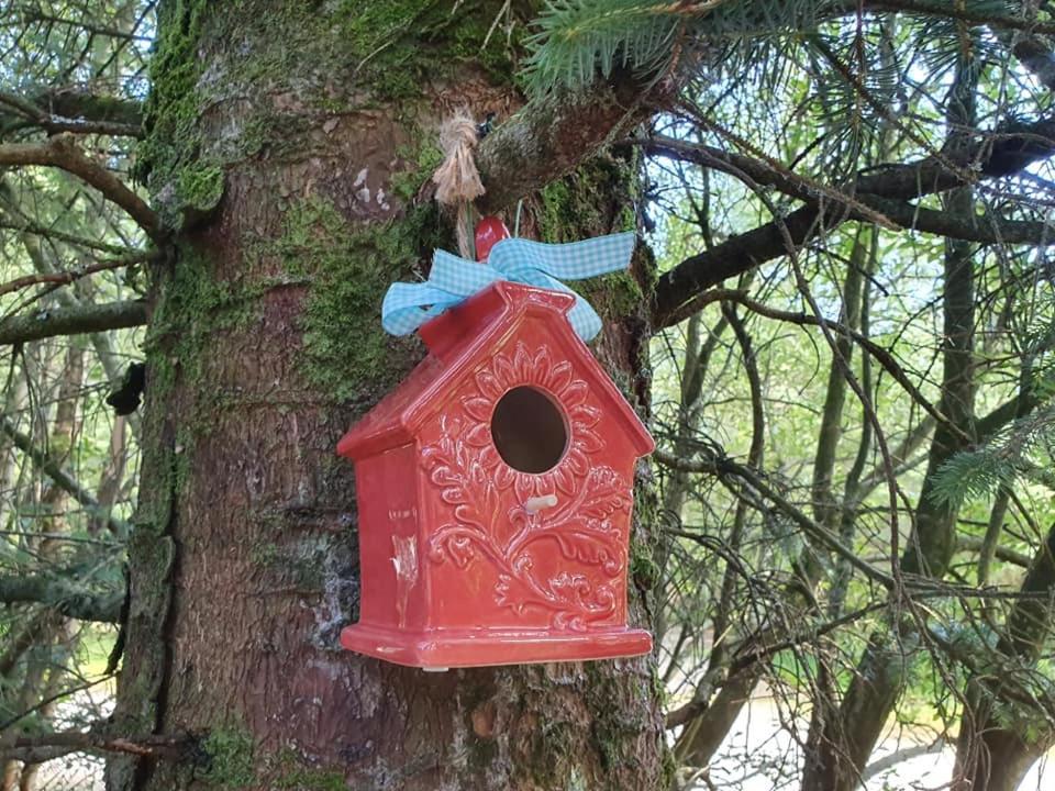 Forest Lodge Log Cabin - Ireland Ballyconnell  Luaran gambar